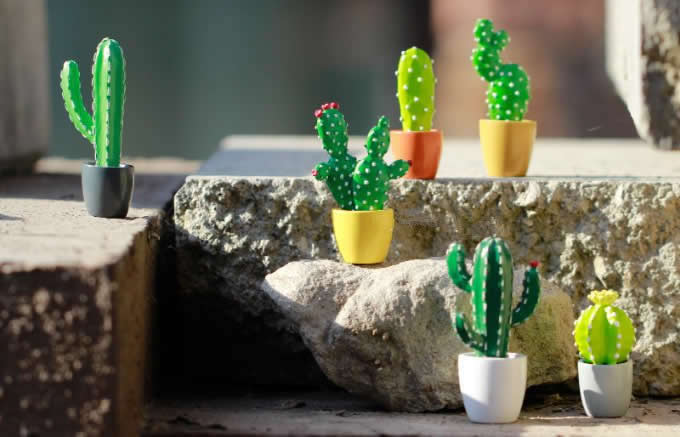 Cactus Fridge Magnets, Set of 6